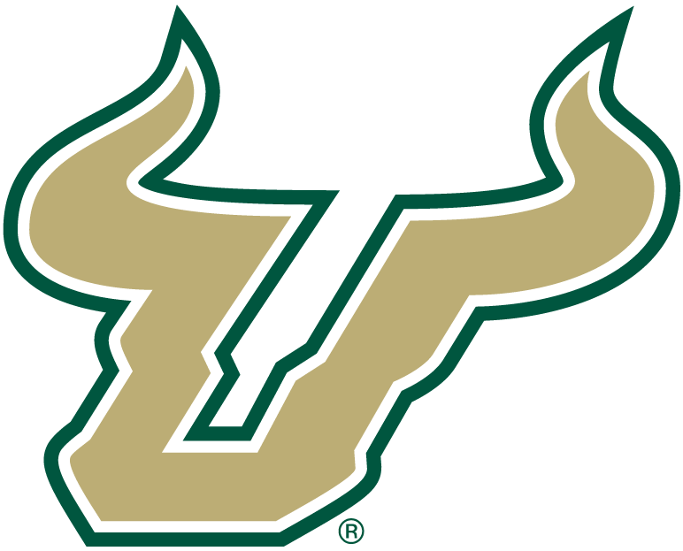 South Florida Bulls 2003-Pres Alternate Logo v2 diy fabric transfers